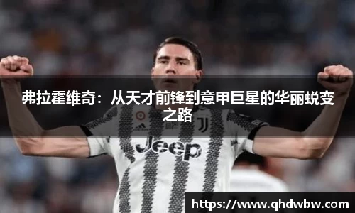 弗拉霍维奇：从天才前锋到意甲巨星的华丽蜕变之路